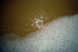 mosto-prosecco-fermentazione