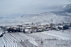 paesaggio-sulla-neve-vigneti-follador
