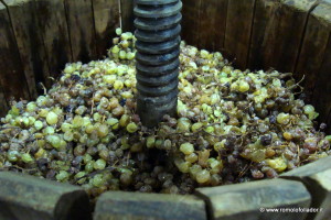 torchiatura-prosecco-follador