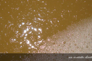 contatto_diretto_con_la_natura